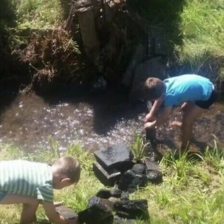 Hébergement de vacances Baumzelt Wittenborn